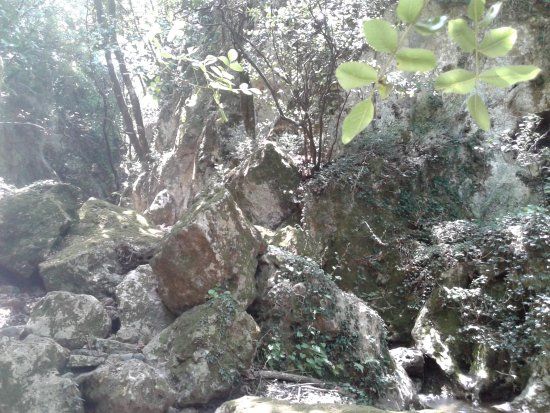 Δημοτικός Κήπος