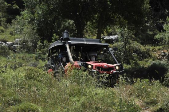 Λυχνοστάτης- Μουσείο Πέτρας και Μαντινάδας