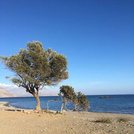 Παραλία Ροδάκινο
