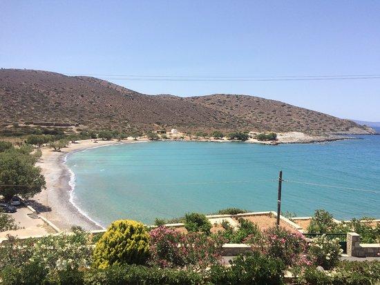 Βοτάνια Χόρτα