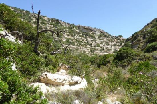 Θεριόσπηλιον
